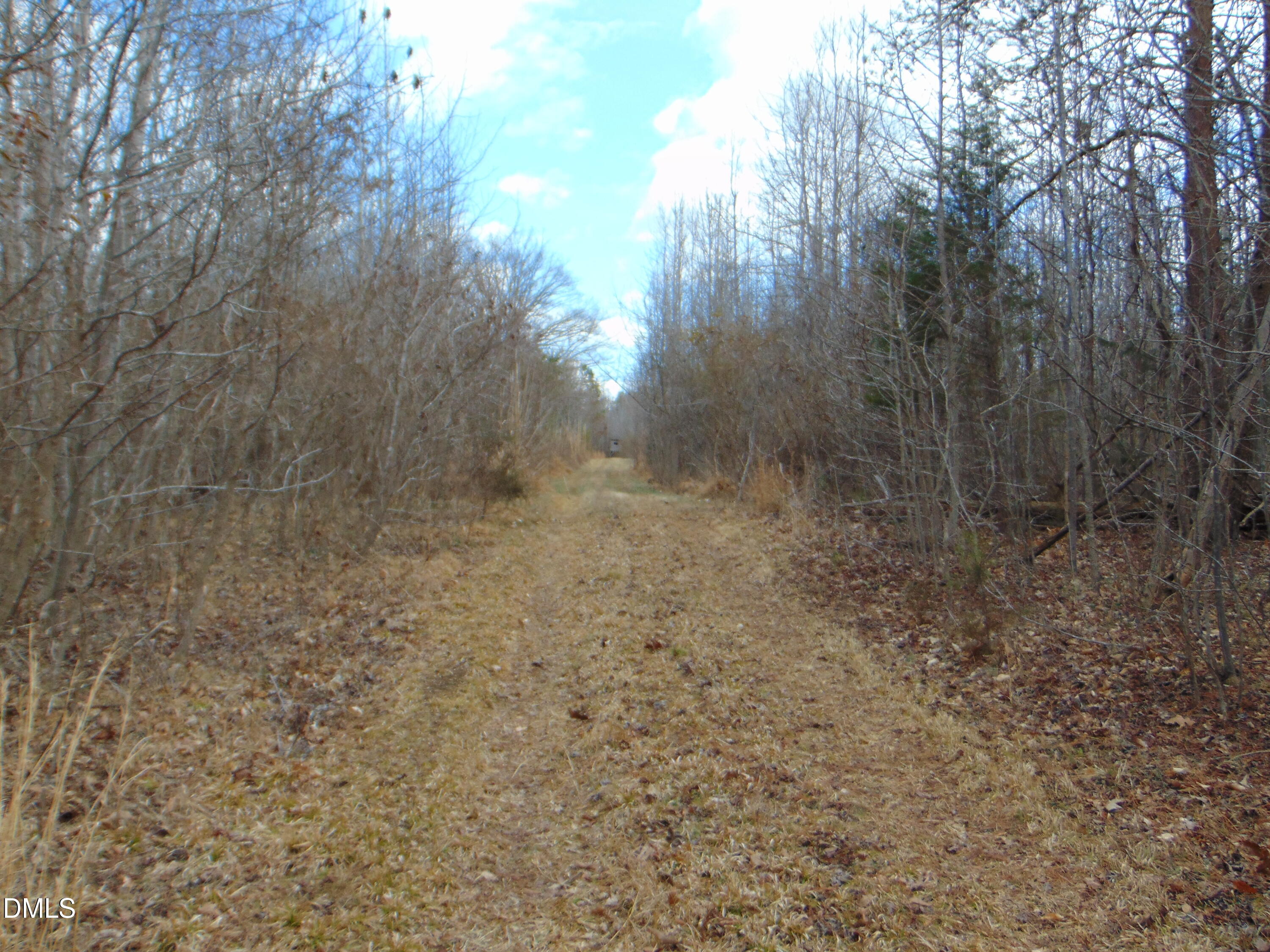 0 Walters Mill Road Providence, NC 27315 - Photo 20 of 20 a view of a yard with trees