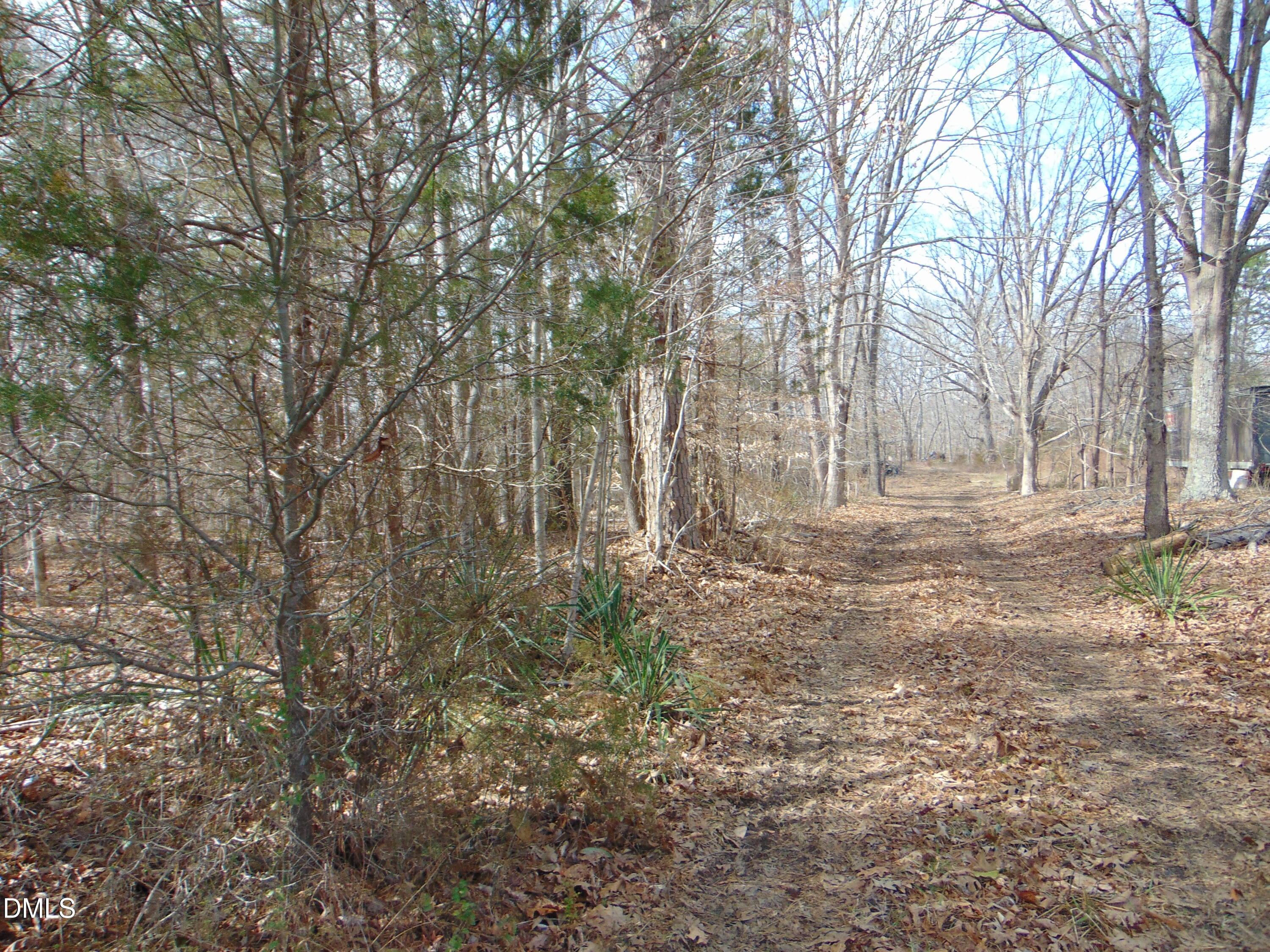 0 Walters Mill Road Providence, NC 27315 - Photo 5 of 20 a backyard of a house with lots of green space
