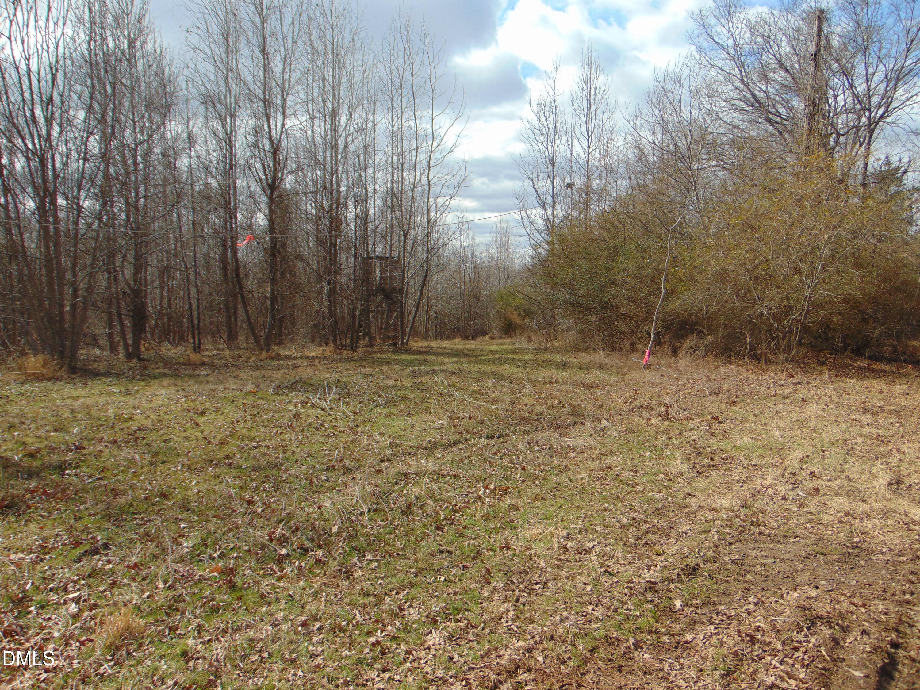 0 Walters Mill Road Providence, NC 27315 - Photo 7 of 20 a view of outdoor space with trees