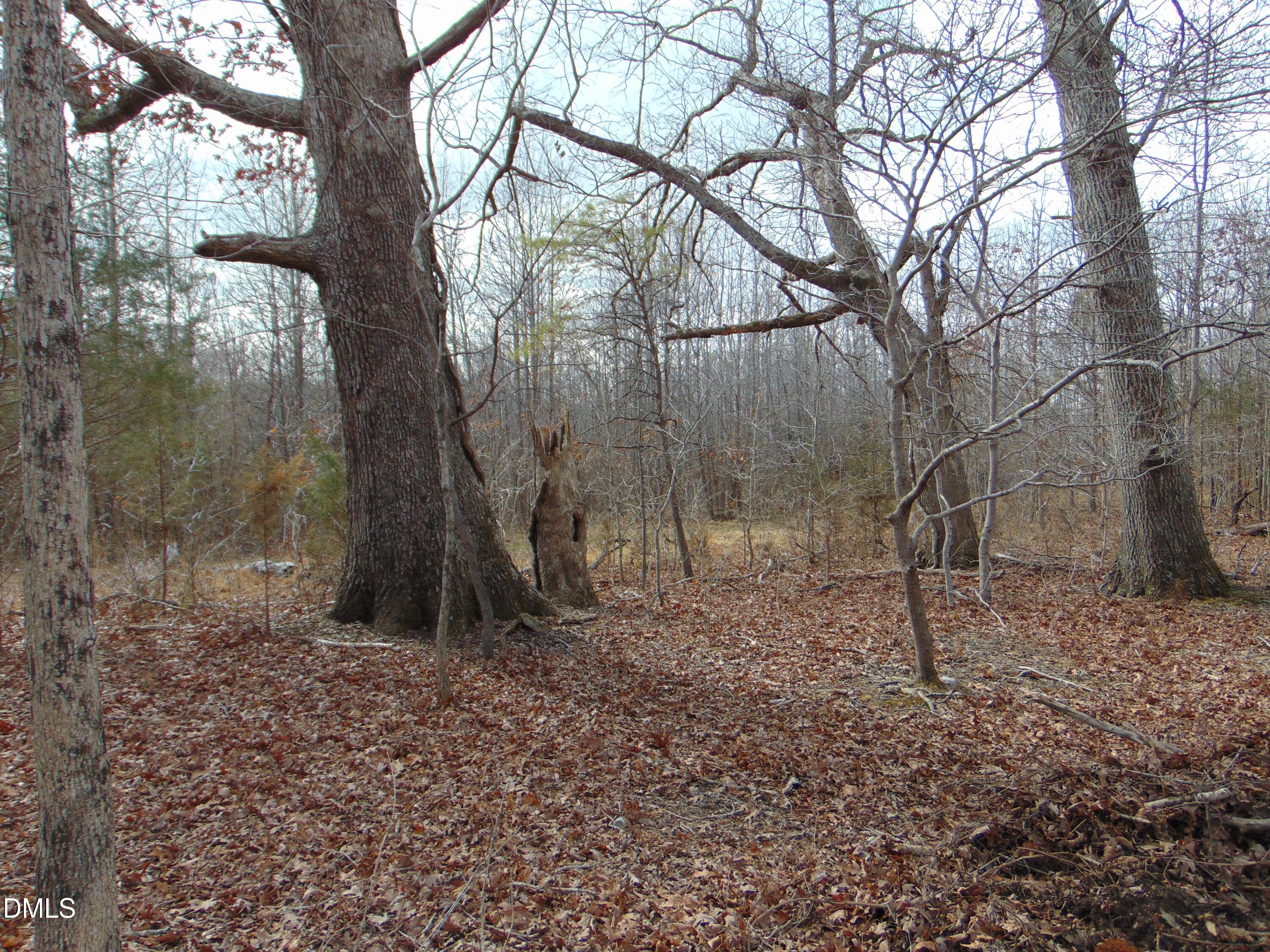 0 Walters Mill Road Providence, NC 27315 - Photo 8 of 20 a backyard of a house with lots of green space