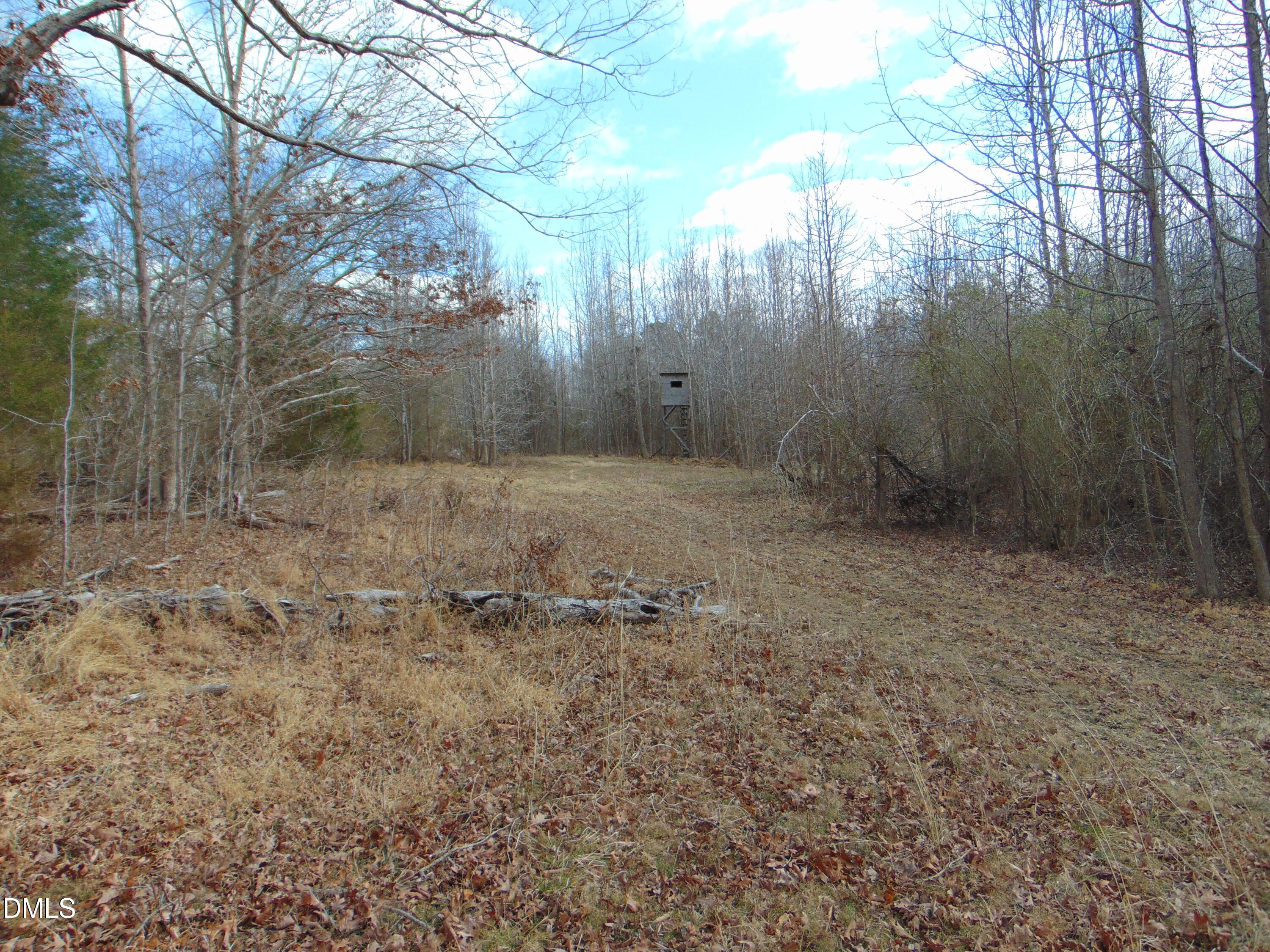 0 Walters Mill Road Providence, NC 27315 - Photo 9 of 20 a view of a yard with trees