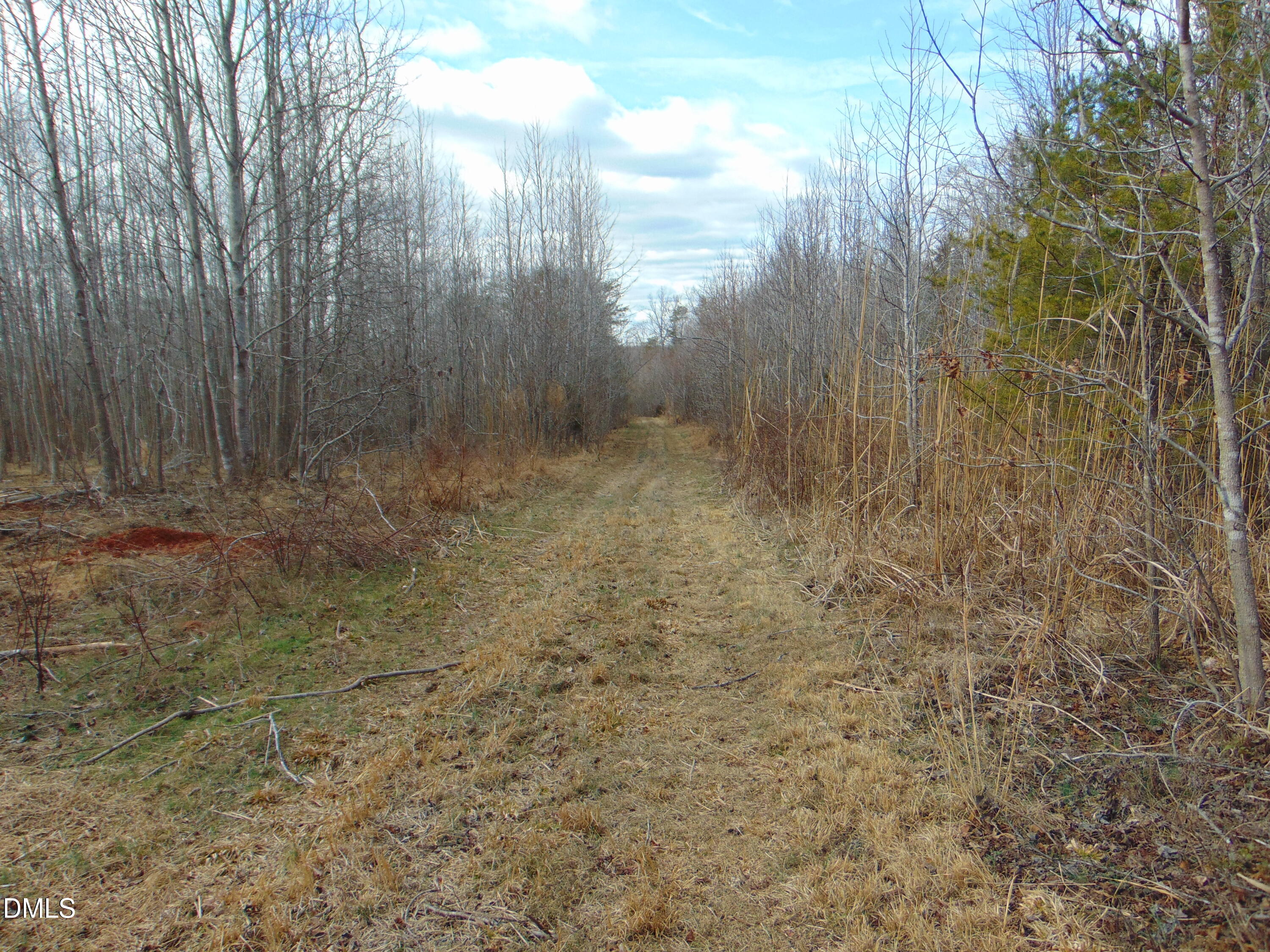 0 Walters Mill Road Providence, NC 27315 - Photo 10 of 20