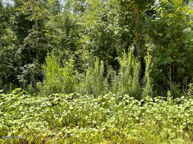 0 Skyview Road Marianna, FL 32446 - Photo 9 of 10