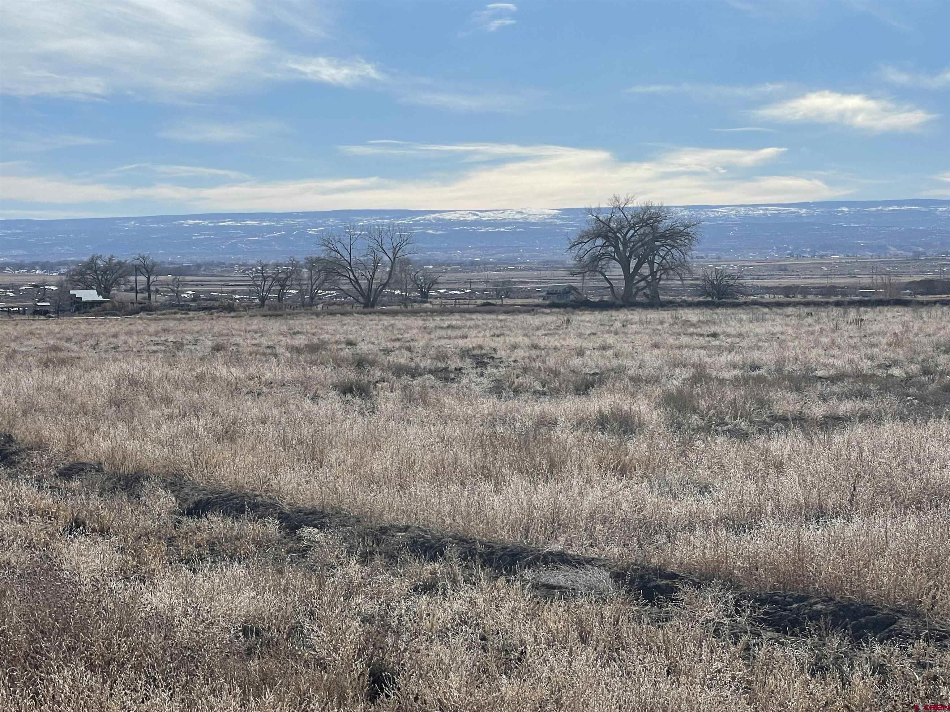 64233 Peach Valley Road Montrose, CO 81401 - Photo 15 of 26 a view of a dry yard