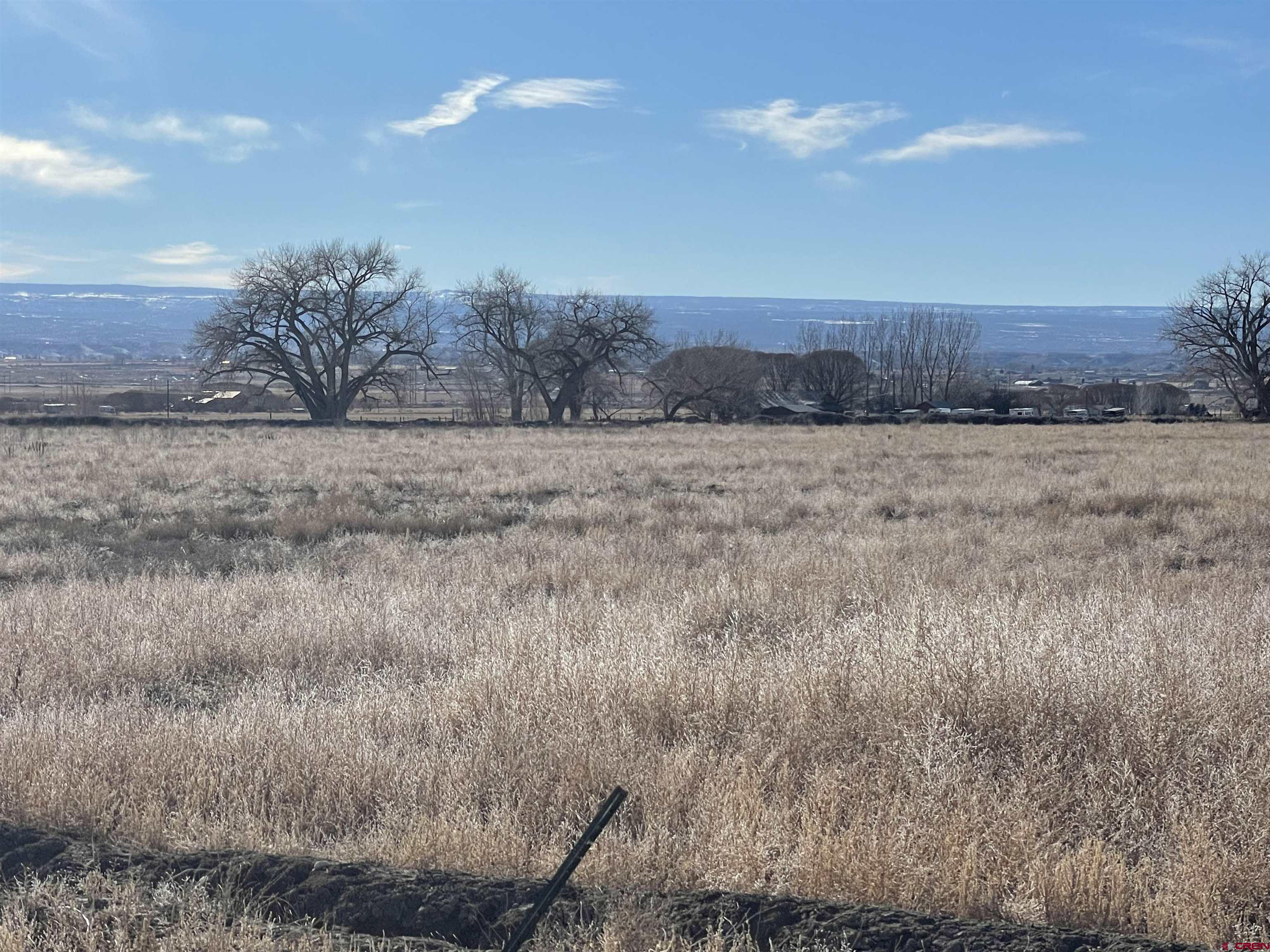 64233 Peach Valley Road Montrose, CO 81401 - Photo 16 of 26 a view of a dry yard