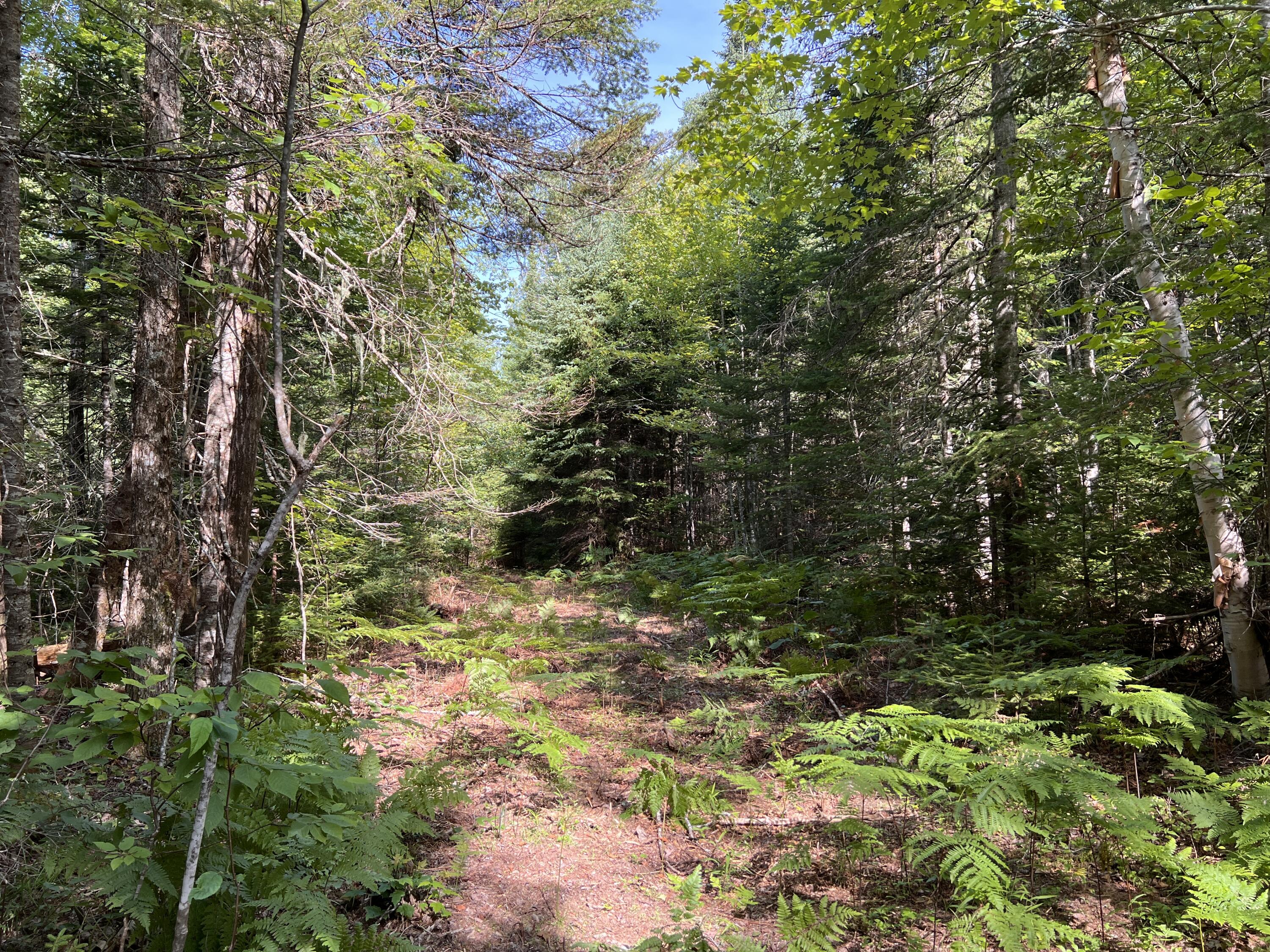 Lot 6-8 Franklin Realty Road Wytopitlock, ME 04497 - Photo 11 of 23 IMG_4483