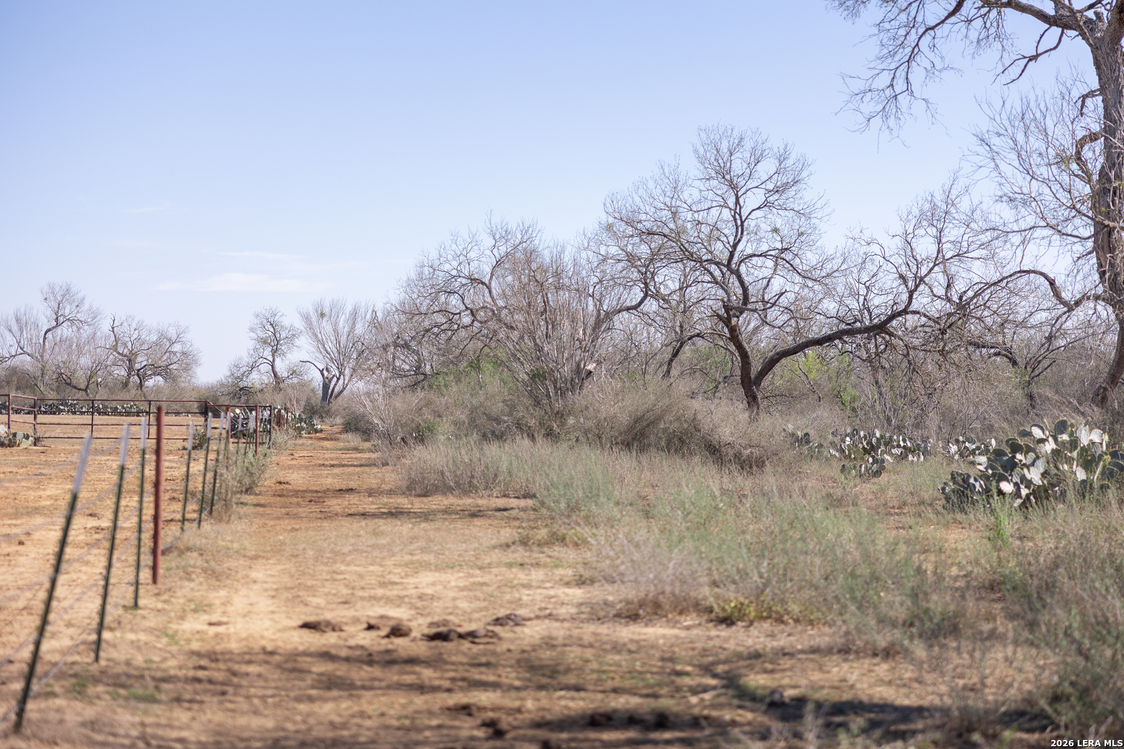 3190 Pittman Road St. Hedwig, TX 78152 - Photo 45 of 50
