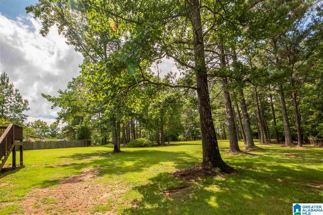 5310 South Shades Crest Road Helena, AL 35022 - Photo 30 of 32