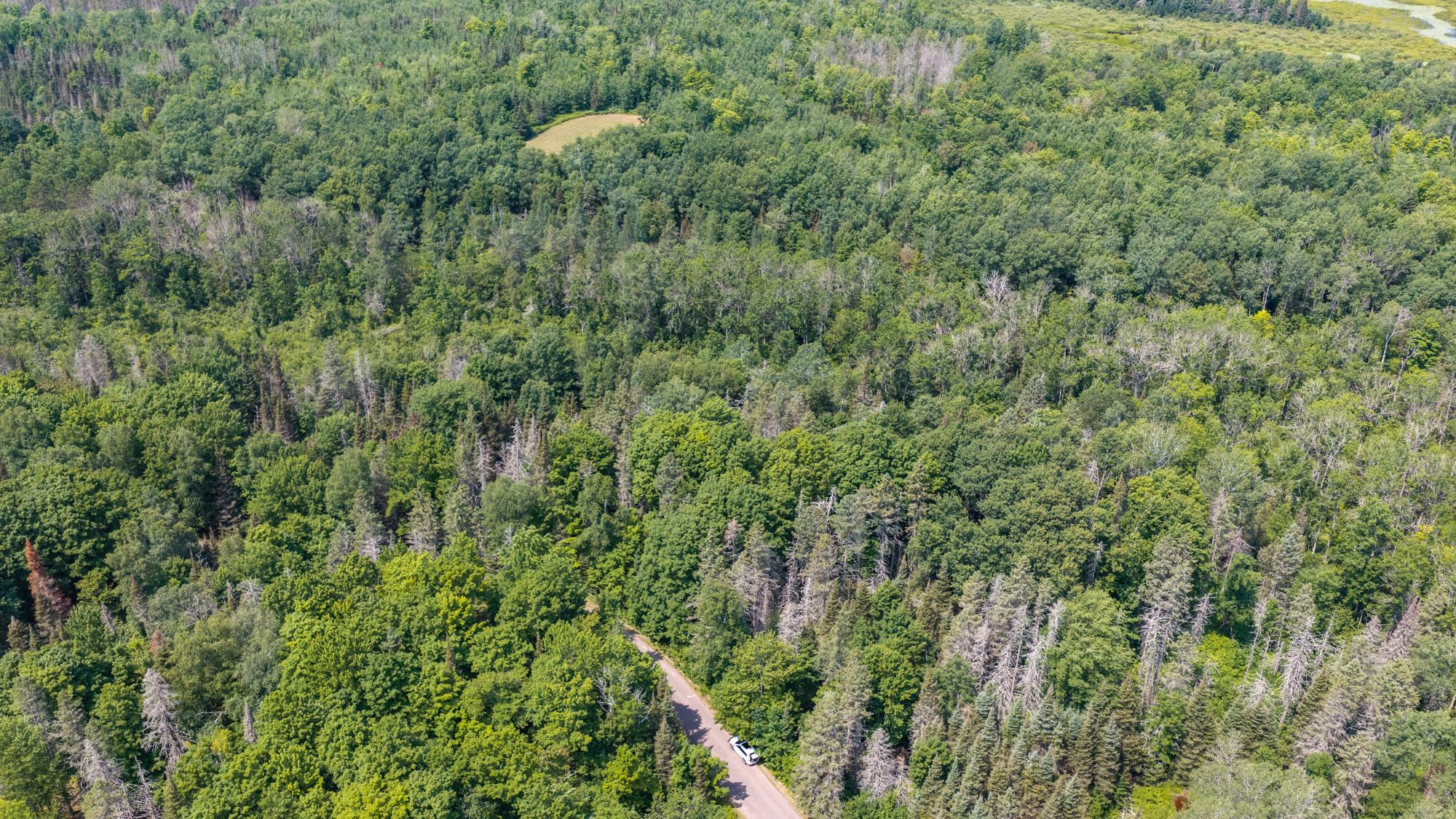 Lot 1 Timber Wolf Road Presque Isle, WI 54557 - Photo 7 of 16 Gallery Image 7
