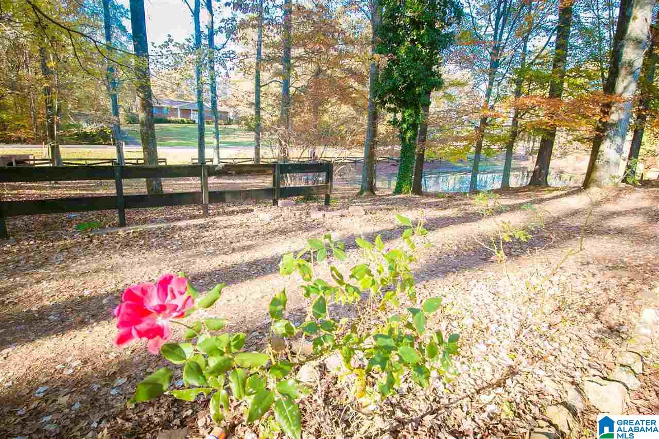6575 Service Road Trussville, AL 35173 - Photo 9 of 36