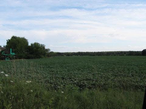 8194 Rider Imlay City, MI 48444 - Photo 2 of 3 909838-1.JPG