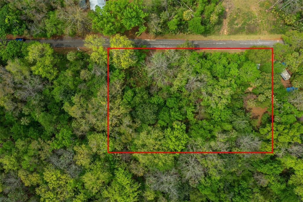 5043 South Palo Verde Point Homosassa, FL 34448 - Photo 1 of 33