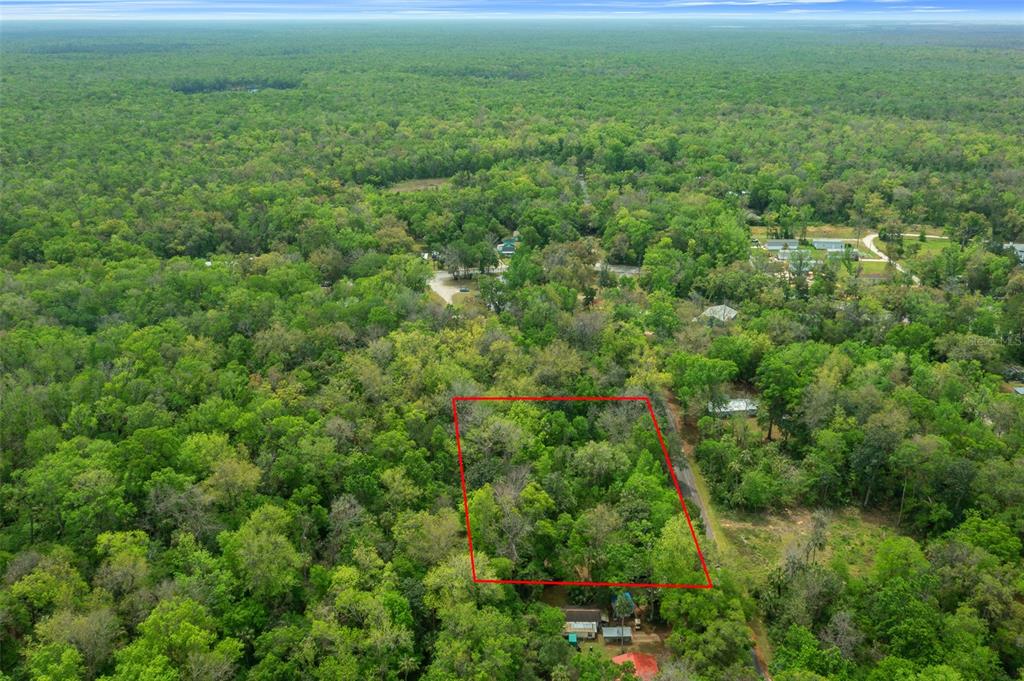 5043 South Palo Verde Point Homosassa, FL 34448 - Photo 11 of 33