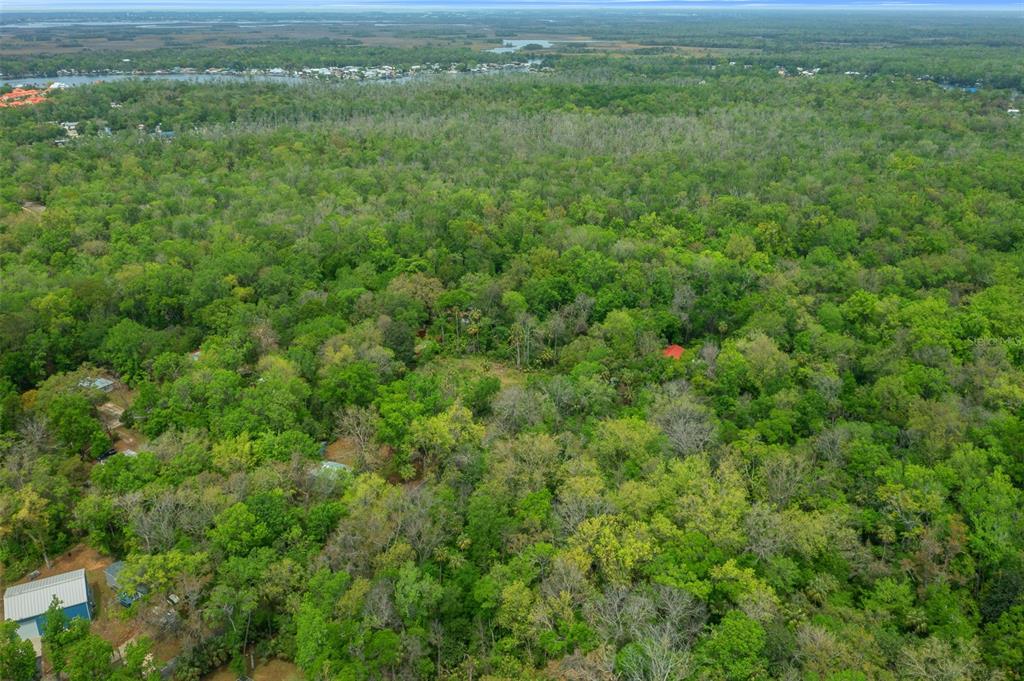 5043 South Palo Verde Point Homosassa, FL 34448 - Photo 12 of 33
