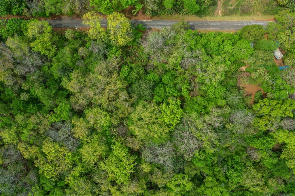 5043 South Palo Verde Point Homosassa, FL 34448 - Photo 14 of 33