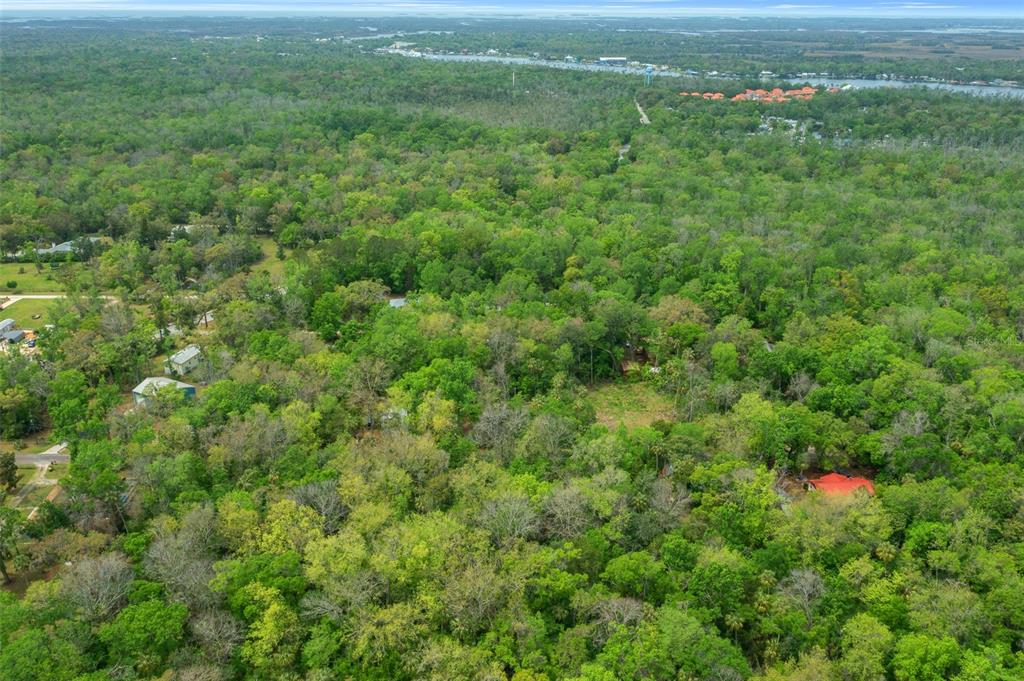 5043 South Palo Verde Point Homosassa, FL 34448 - Photo 15 of 33