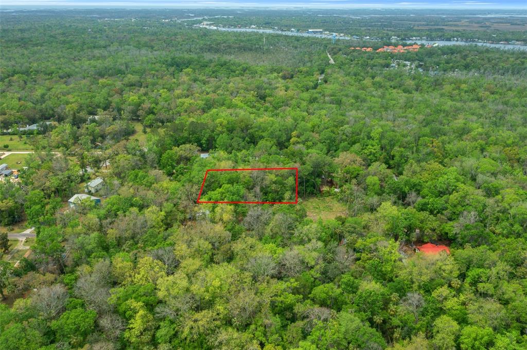 5043 South Palo Verde Point Homosassa, FL 34448 - Photo 16 of 33