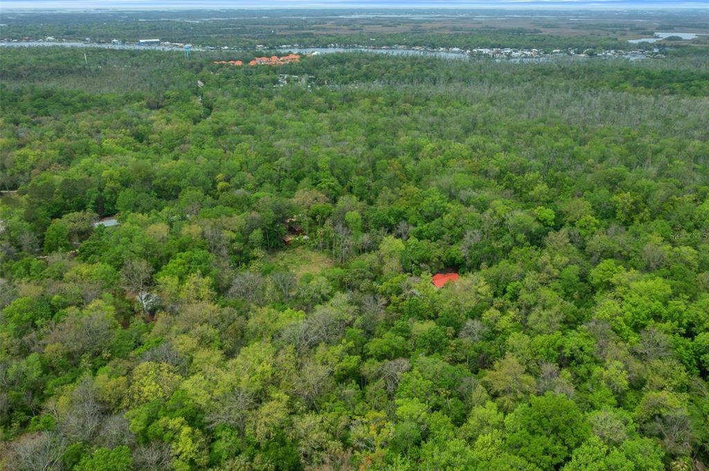 5043 South Palo Verde Point Homosassa, FL 34448 - Photo 17 of 33