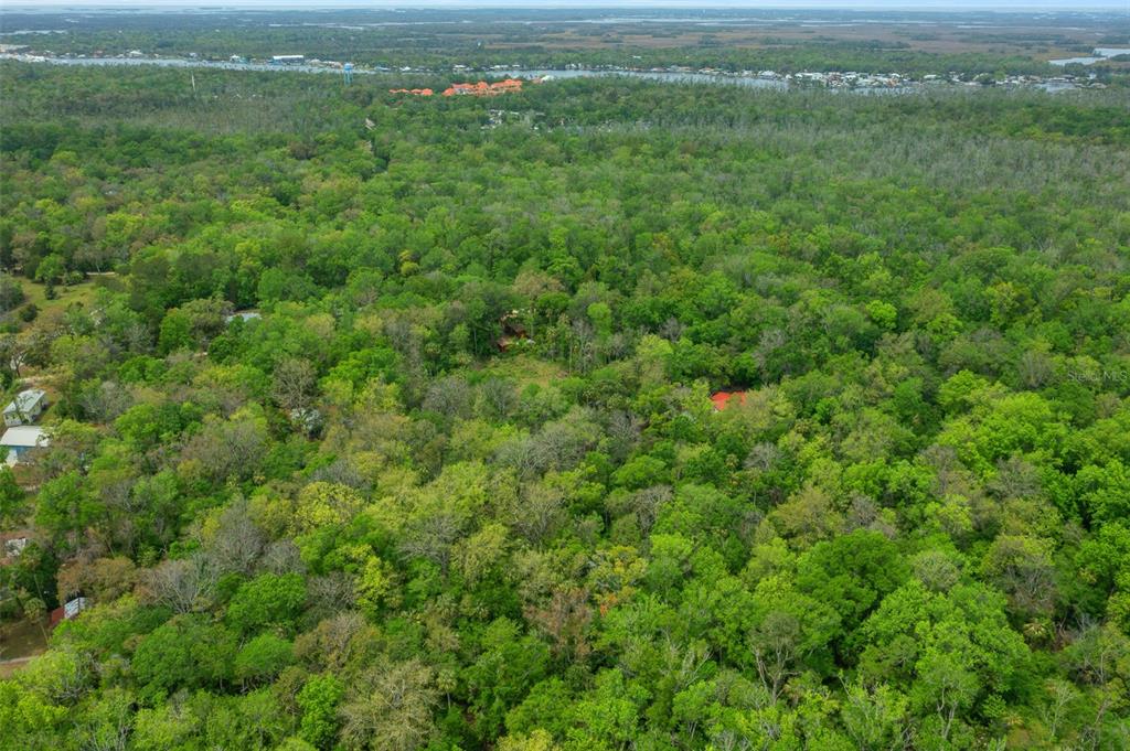 5043 South Palo Verde Point Homosassa, FL 34448 - Photo 18 of 33