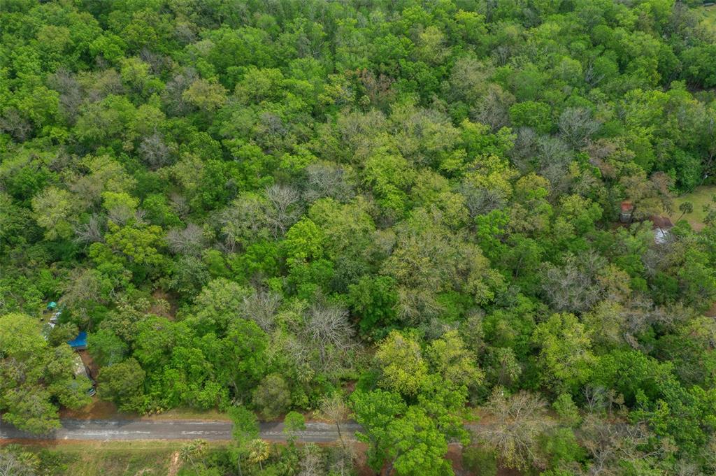 5043 South Palo Verde Point Homosassa, FL 34448 - Photo 19 of 33