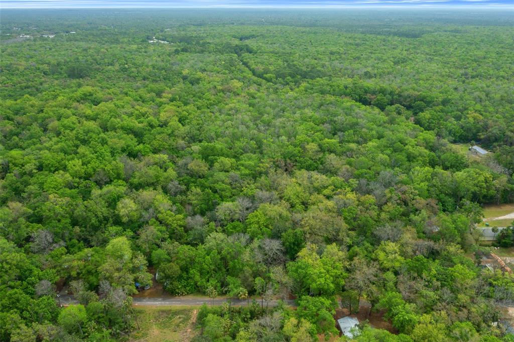 5043 South Palo Verde Point Homosassa, FL 34448 - Photo 20 of 33