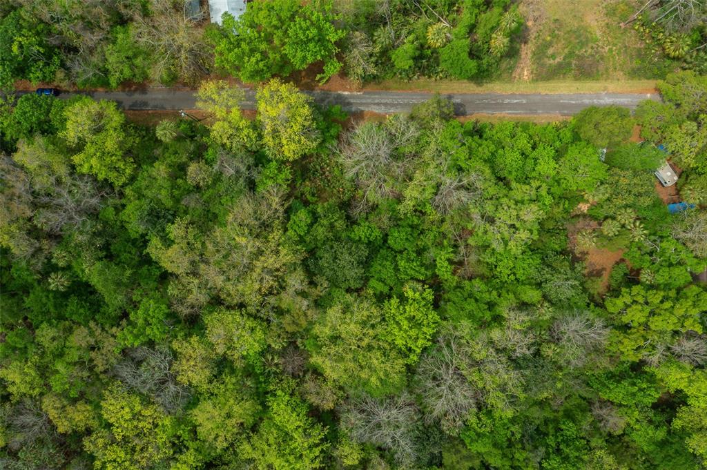 5043 South Palo Verde Point Homosassa, FL 34448 - Photo 2 of 33
