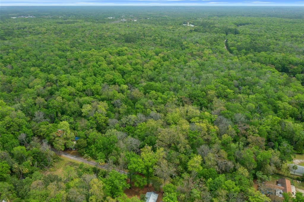 5043 South Palo Verde Point Homosassa, FL 34448 - Photo 21 of 33