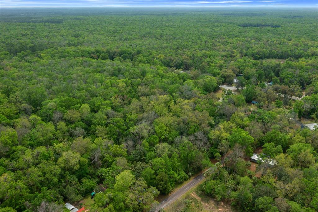 5043 South Palo Verde Point Homosassa, FL 34448 - Photo 22 of 33