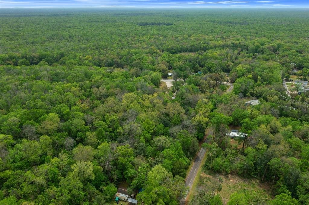 5043 South Palo Verde Point Homosassa, FL 34448 - Photo 23 of 33