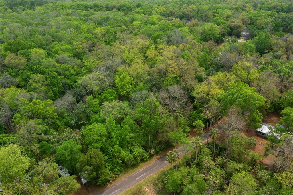 5043 South Palo Verde Point Homosassa, FL 34448 - Photo 25 of 33