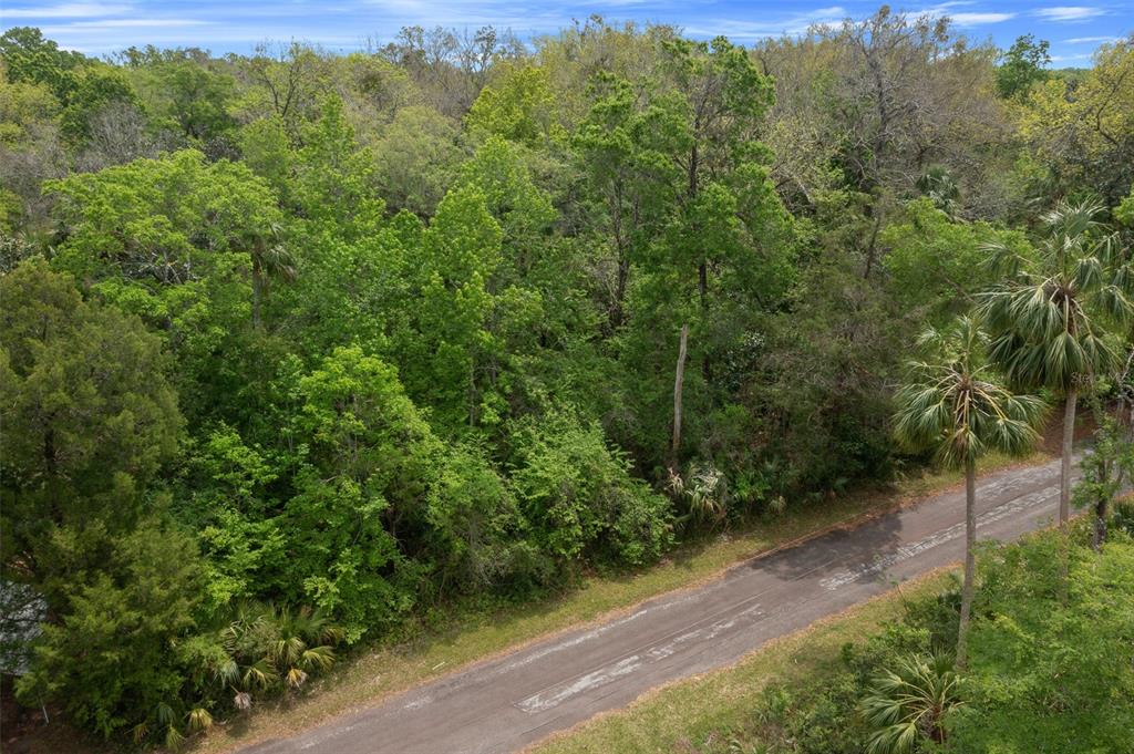 5043 South Palo Verde Point Homosassa, FL 34448 - Photo 27 of 33