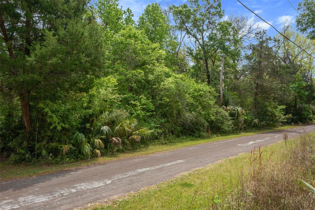 5043 South Palo Verde Point Homosassa, FL 34448 - Photo 28 of 33