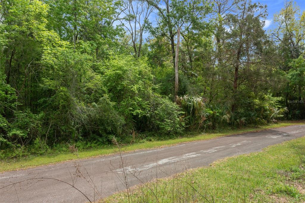 5043 South Palo Verde Point Homosassa, FL 34448 - Photo 29 of 33
