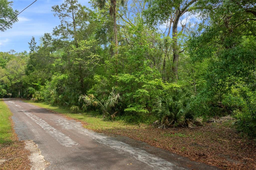5043 South Palo Verde Point Homosassa, FL 34448 - Photo 30 of 33