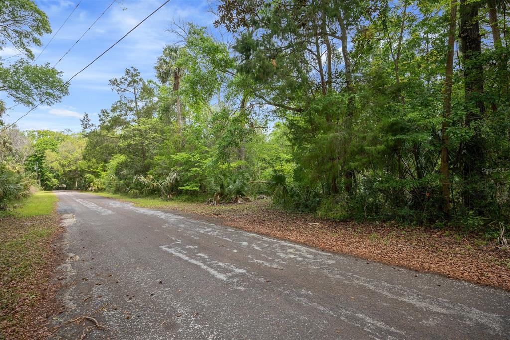 5043 South Palo Verde Point Homosassa, FL 34448 - Photo 3 of 33