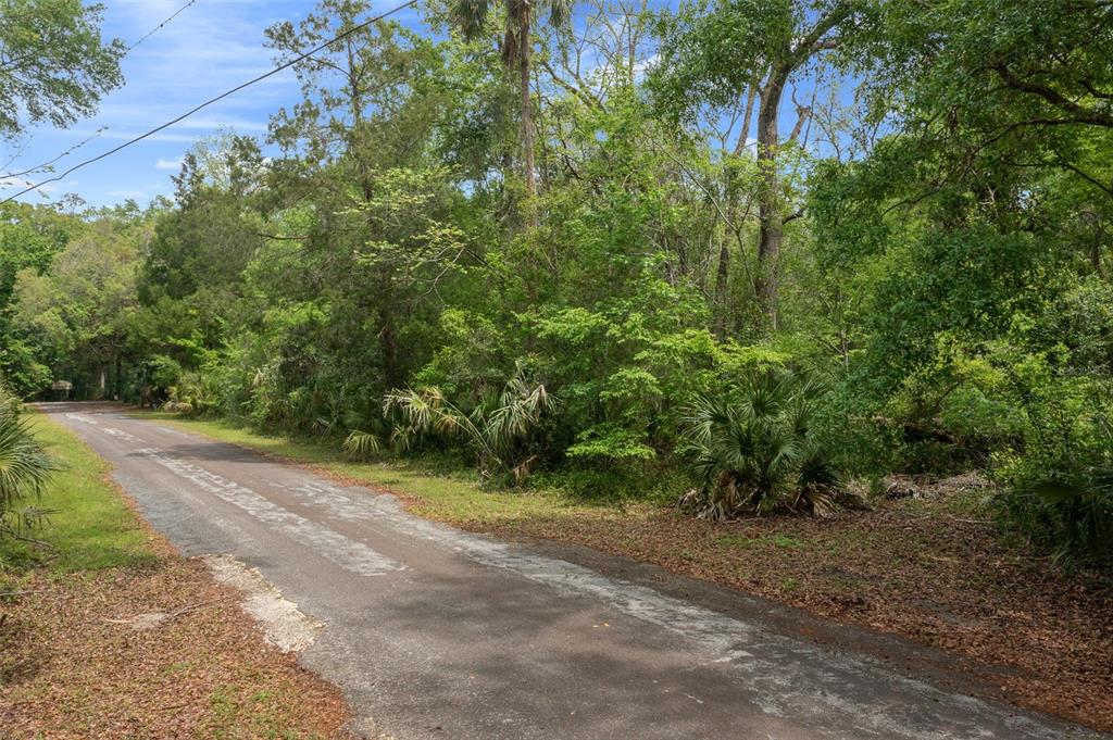 5043 South Palo Verde Point Homosassa, FL 34448 - Photo 31 of 33