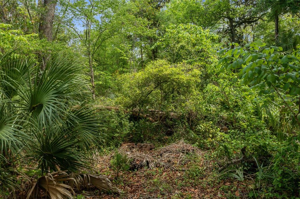 5043 South Palo Verde Point Homosassa, FL 34448 - Photo 32 of 33