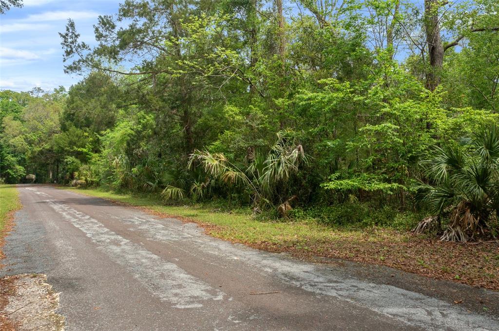 5043 South Palo Verde Point Homosassa, FL 34448 - Photo 33 of 33