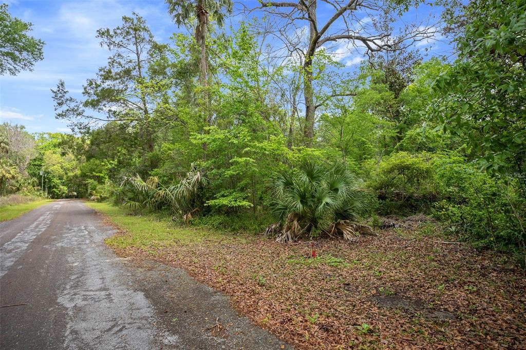 5043 South Palo Verde Point Homosassa, FL 34448 - Photo 4 of 33
