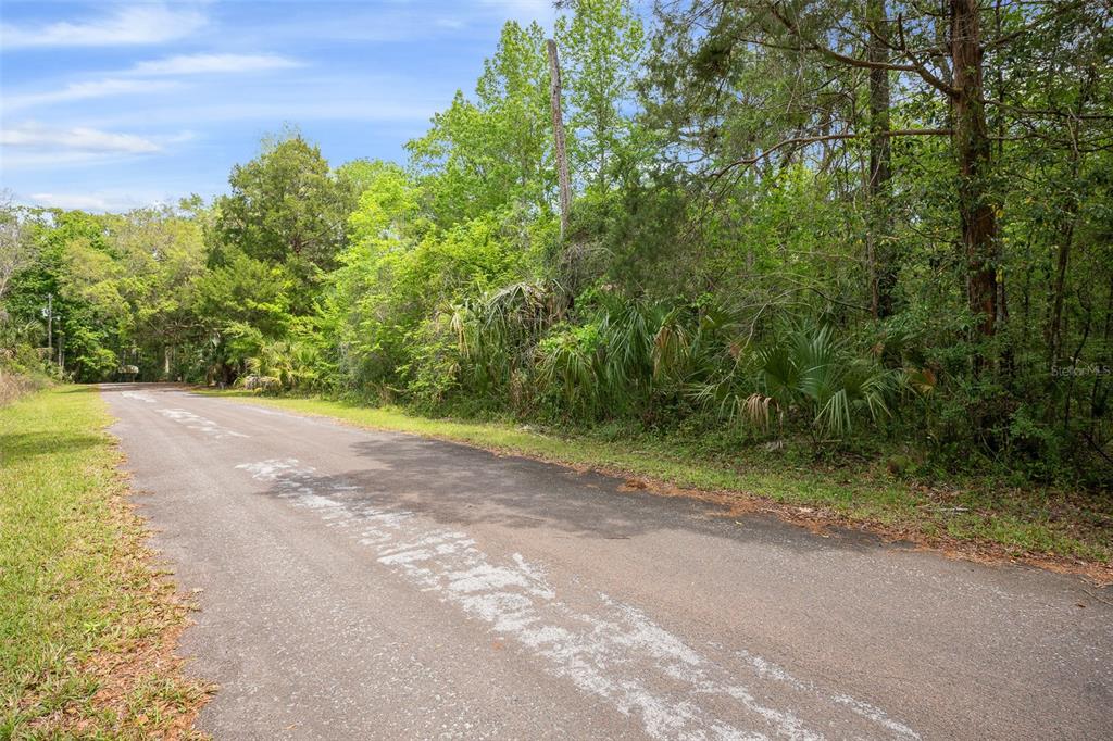 5043 South Palo Verde Point Homosassa, FL 34448 - Photo 5 of 33