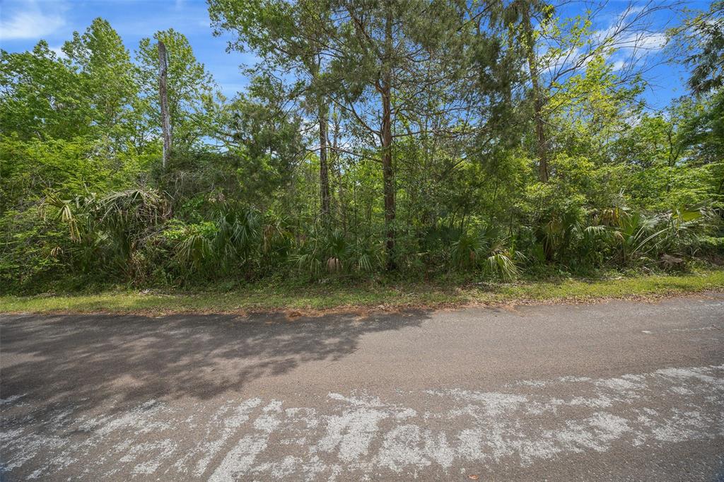 5043 South Palo Verde Point Homosassa, FL 34448 - Photo 6 of 33