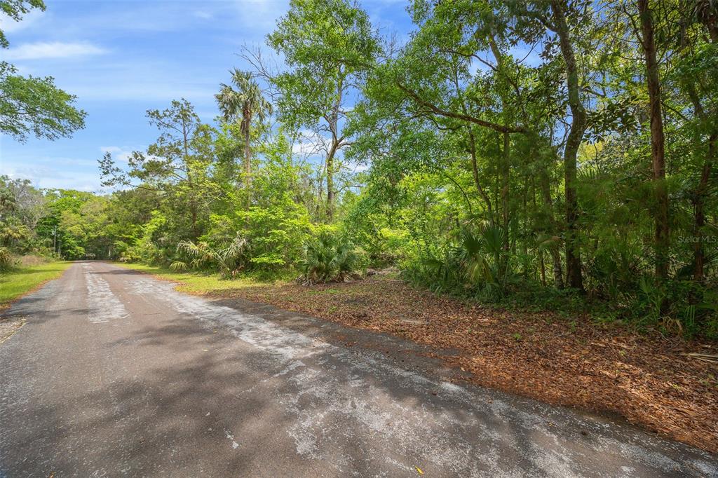 5043 South Palo Verde Point Homosassa, FL 34448 - Photo 7 of 33
