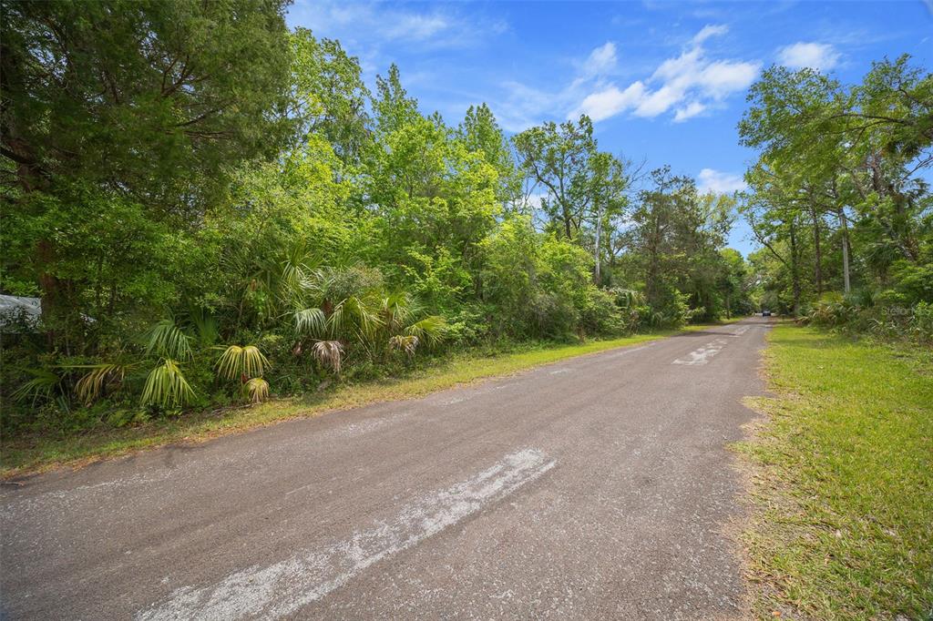 5043 South Palo Verde Point Homosassa, FL 34448 - Photo 8 of 33