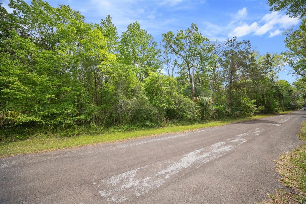 5043 South Palo Verde Point Homosassa, FL 34448 - Photo 9 of 33