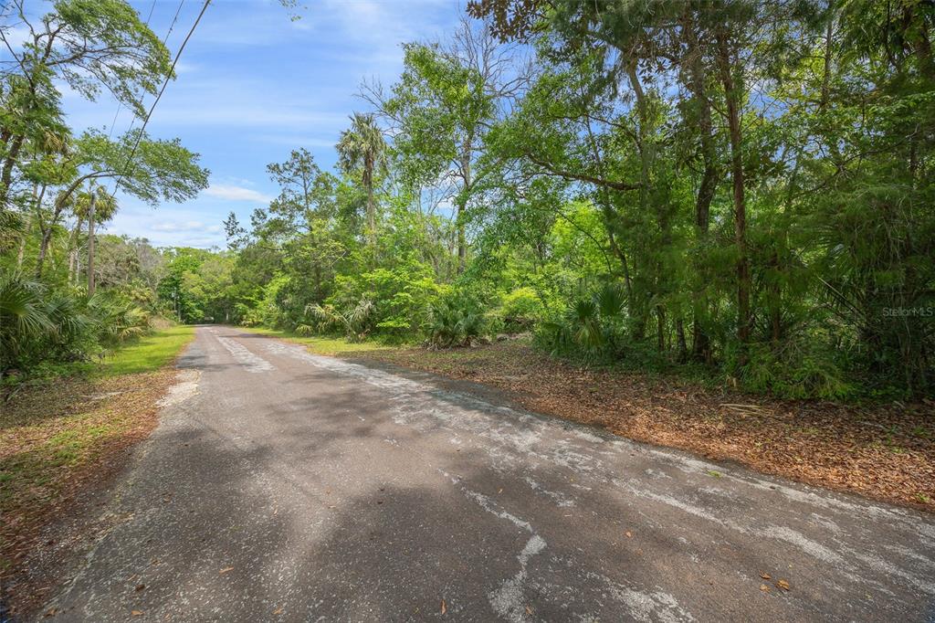5043 South Palo Verde Point Homosassa, FL 34448 - Photo 10 of 33