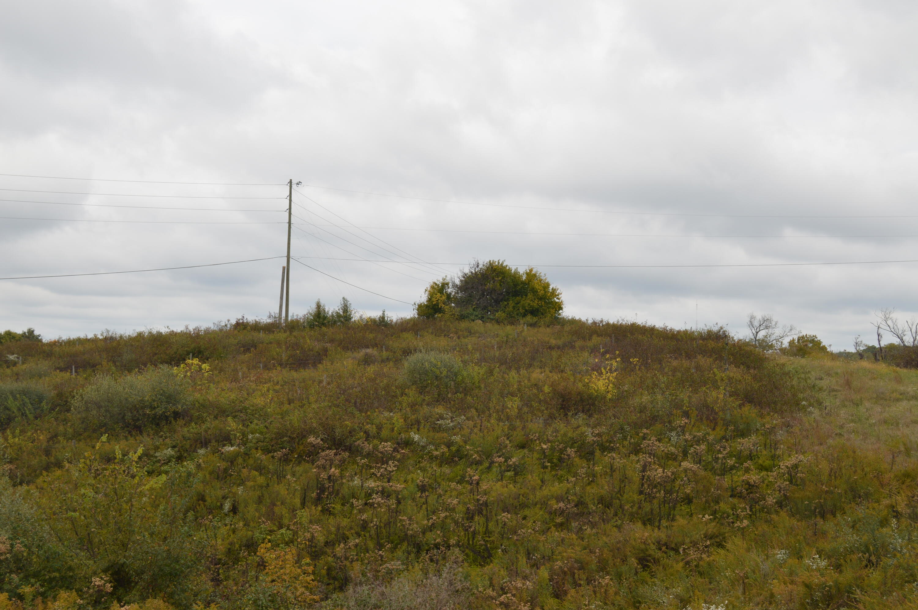 Lot #1 Georgetown Road Owenton, KY 40359 - Photo 8 of 12