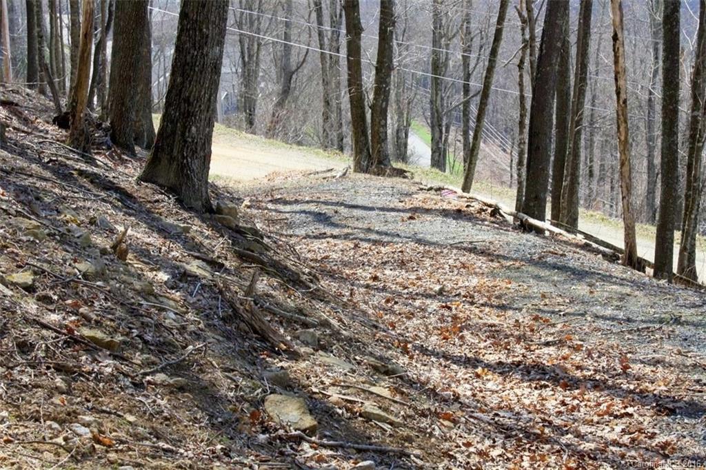 Lot 236-237 Hanging Rock Road, Unit 236 & 237 Mars Hill, NC 28754 - Photo 3 of 16 Gallery Image 3