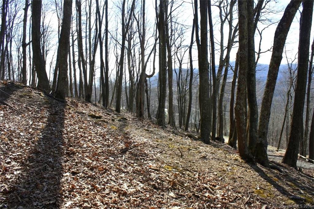 Lot 236-237 Hanging Rock Road, Unit 236 & 237 Mars Hill, NC 28754 - Photo 4 of 16 Gallery Image 4