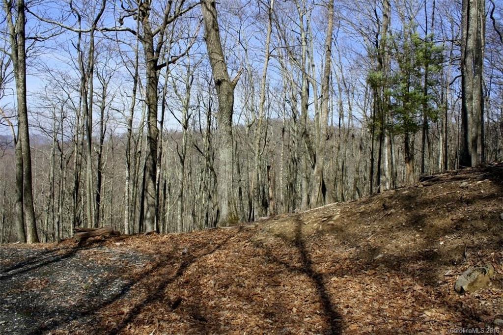 Lot 236-237 Hanging Rock Road, Unit 236 & 237 Mars Hill, NC 28754 - Photo 5 of 16 Gallery Image 5