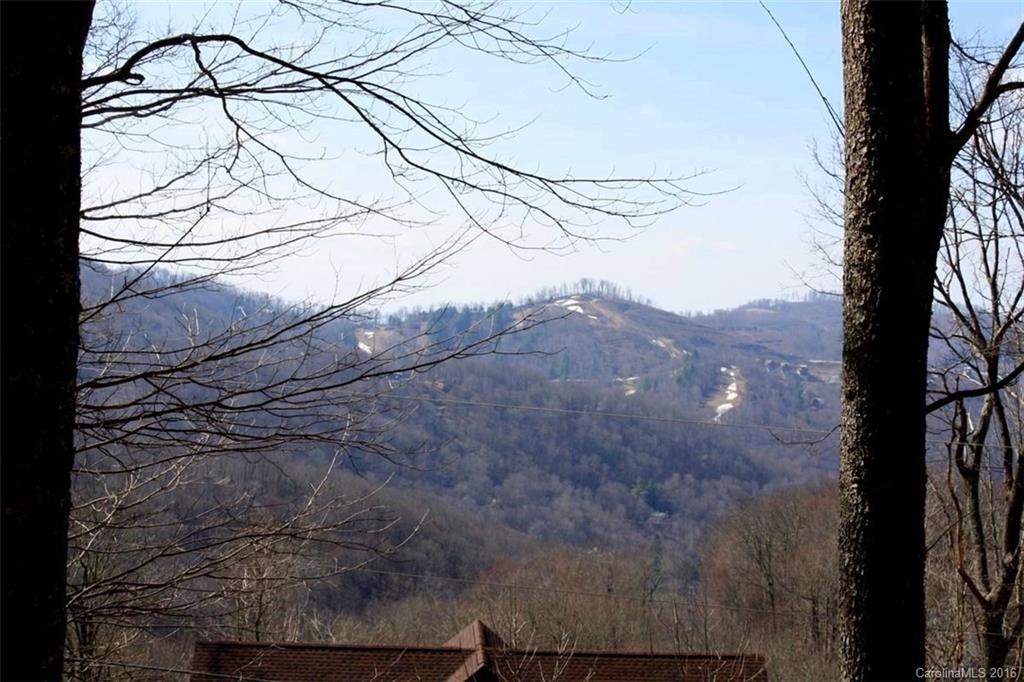 Lot 236-237 Hanging Rock Road, Unit 236 & 237 Mars Hill, NC 28754 - Photo 7 of 16 Gallery Image 7